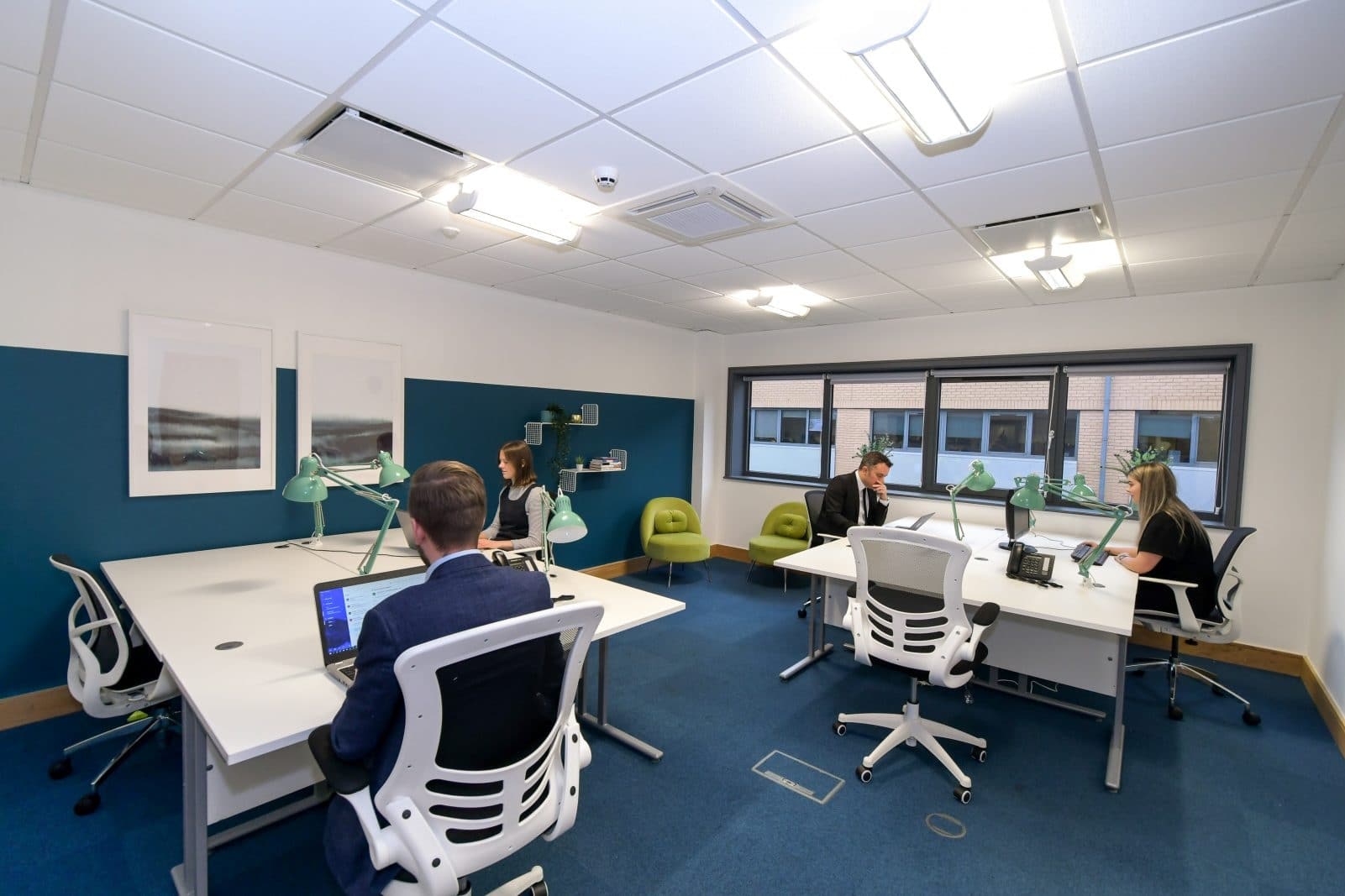People working at desks in a furnished office with a blue carpet and teal wall
